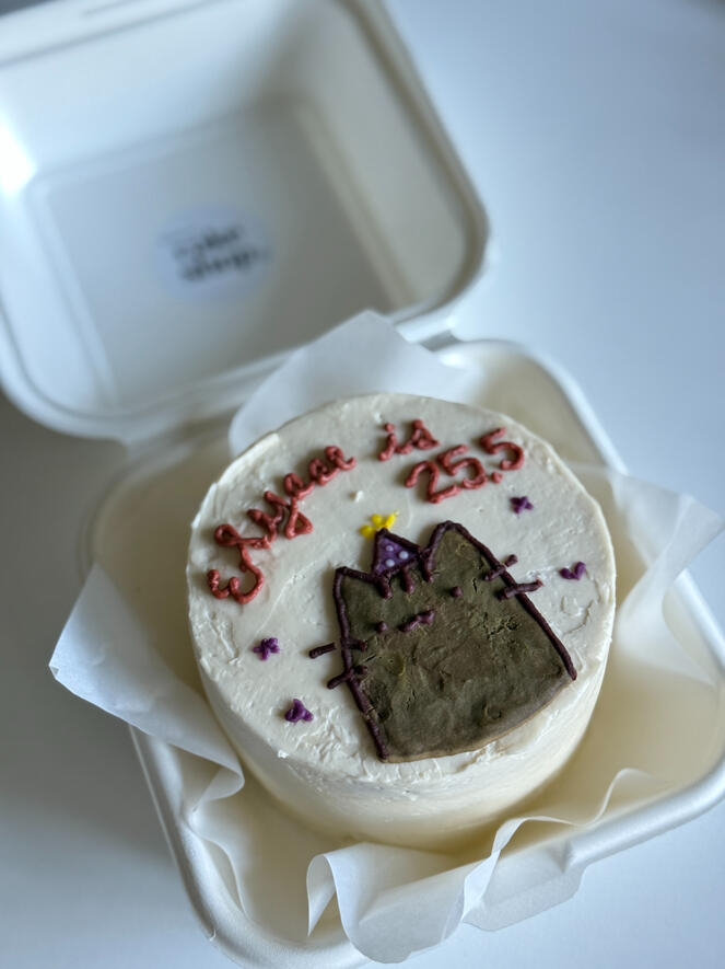 custo pusheen cat design bento cake