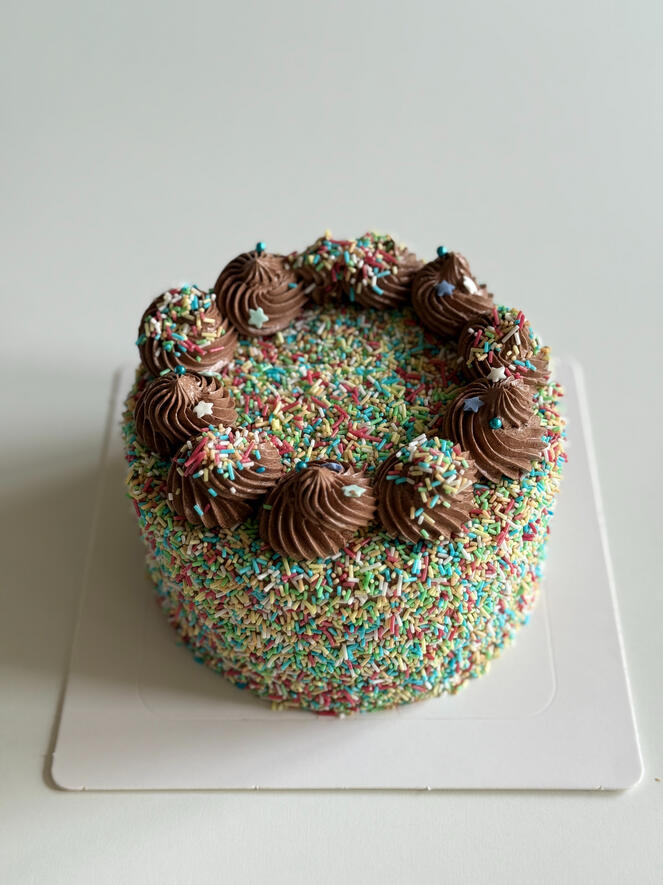 birthday cake covered in sprinkles