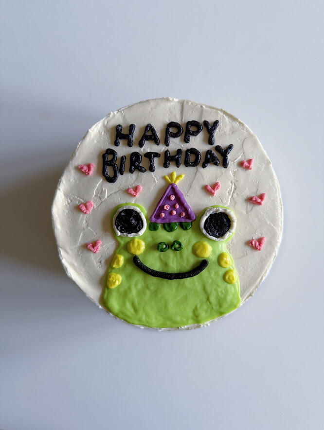Cute birthday frog custom drawing cake